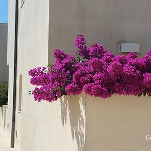 Cala Palme Lampedusa